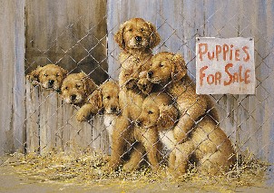 Tuf Top Cutting Boards Puppies for Sale Cutting Board  Medium
