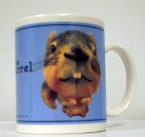 Arundale ARM27TS The Squirrel Mug