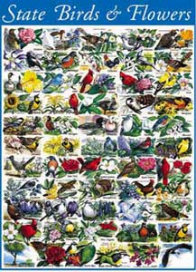 White Mountain Puzzles State Birds and Flowers Puzzle