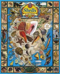 White Mountain Puzzles Shells of Our Shores Puzzle
