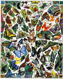 White Mountain Puzzles Butterflies Puzzle
