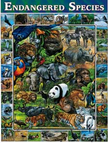 White Mountain Puzzles Endangered Species Puzzle