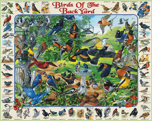 Birds Of Backyard Puzzle