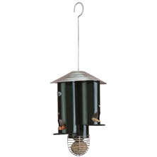 Best For Birds Triple Feeder - 1 Suet-2 Seed