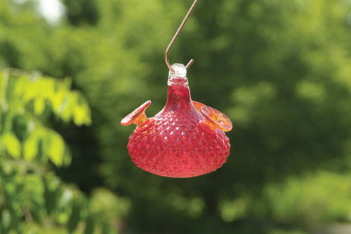Bird Brain Jewel Hummingbird Feeder Red