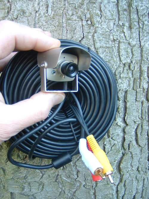 Birdhouse Spy Cam Hawk Eye Nature Cam