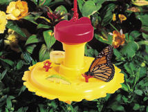 Birding Company Butterfly Feeder
