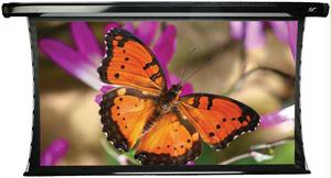ELITE SCREENS TE135HW2