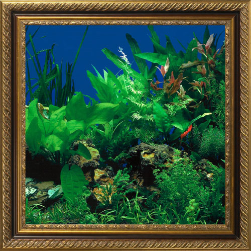 AquaVista AV500SBALI Wall-Mounted Aquarium AV 500 Seaweed Background with Libra Frame