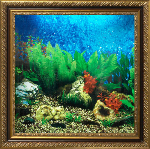 AquaVista AV500TABALI Wall-Mounted Aquarium AV 500 Tropical Water Background with Libra Frame