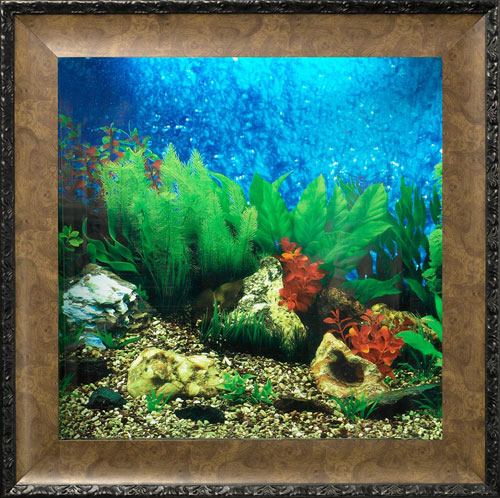 AquaVista AV500TABALE Wall-Mounted Aquarium AV 500 Tropical Water Background with Leo Frame