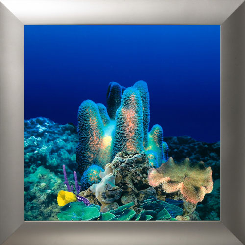 AquaVista AV500CRSL Wall-Mounted Aquarium AV 500 Coral Reef Background with Silver Frame