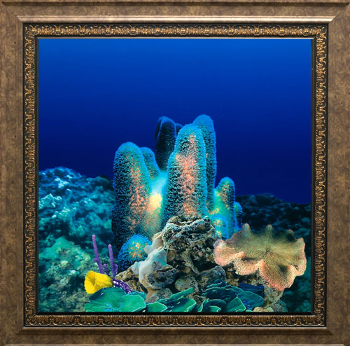 AquaVista AV500CRBASC Wall-Mounted Aquarium AV 500 Coral Reef Background with Scorpio Frame