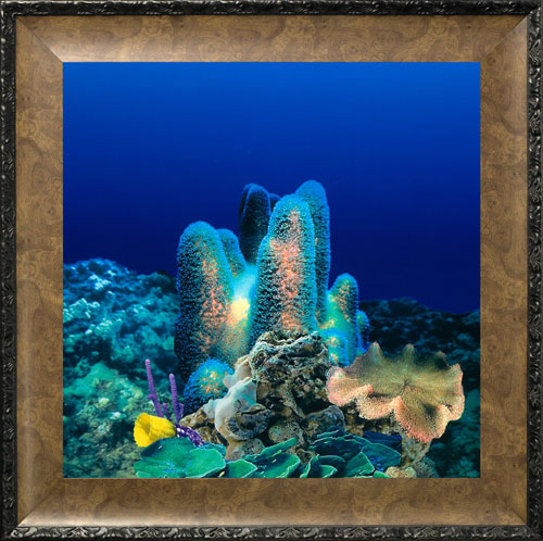 AquaVista AV500CRBALE Wall-Mounted Aquarium AV 500 Coral Reef Background with Leo Frame