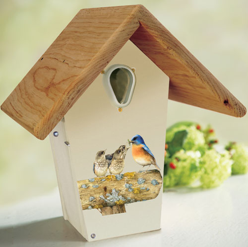 Droll Yankee 12 Inch Decorative Nest Box For Bluebirds with Birds