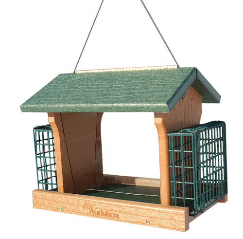 Audubon Going Green Recycled Plastic Ranch Feeder with Suet