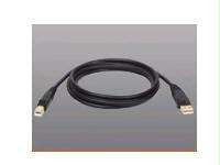 TRIPP LITE U022-010-R 10 USB2.0 Certified Gold A/B Device Cable TRIPP LITE U022-010-R 10 USB2.0 Certified Gold A/B Device Cable