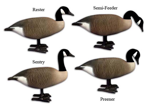 Higdon Decoys 70269 Original Full Body - Canada - 4 Pack