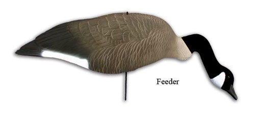 Higdon Decoys 76646 Feeder Stackable Full Body - Canada - 6 Pack