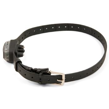 Innotek PBC00-11047 Big Dog Bark Control