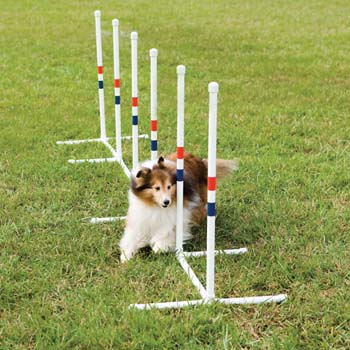 Innotek PDT0011032 Training Equipment Weave Poles