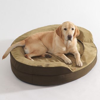 Pet Bed - Dolce Vita 40306 Therabed Oval Heated Pet Bed Small