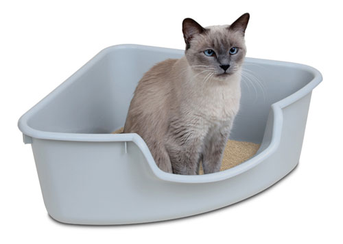 Smart Cat 3850 Corner Litter Box Gray Case of 5