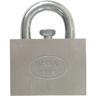Puzzle Master USYY4 Lunatic Lock Cast Metal Brain Teaser Puzzle