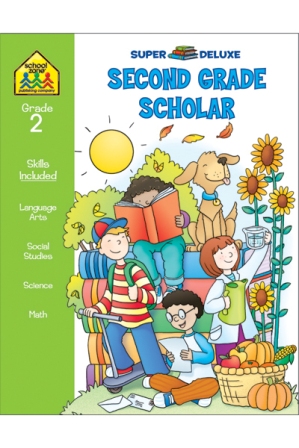 School Zone 2463 Second Grade Basics Workbook