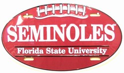lp - 1017 Florida State Seminoles Oval License Plate - OV70003