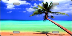 LP - 545 Ocean Sunrise License Plate - AB011