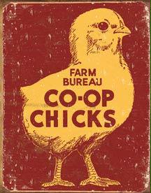 Tin Sign Farm Bureau Co-Op Chicks