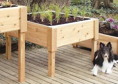 Cedar Creek 3624BS - Square Raised Garden-Shelf - 2 Feet High