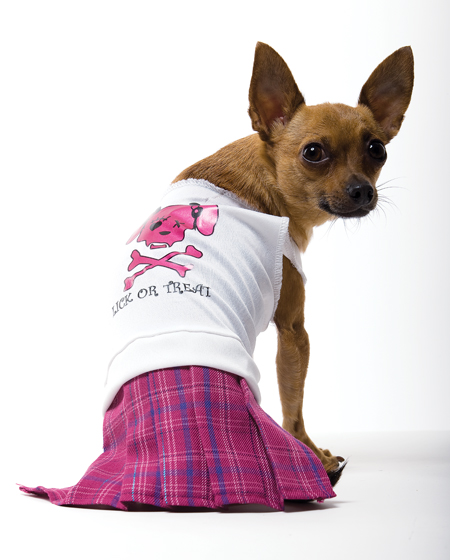 Costumes For All Occasions PM859021 Bad Girl Dog Costume Medium