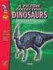 On The Mark Press OTM1621 Dinosaurs Black and White Picture EBook On The Mark Press OTM1621 Dinosaurs Black and White Picture EBook