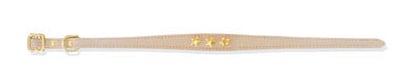 Pet Jewelry Beverly Hills cg 11.5 Inch Gold Leather Cat Collar -Gold Leather Cat Collar For Your Pet