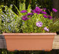 Countryside Flowerbox Clay 36 Inch - 16365