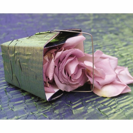 Artmaster Gallery 107801 22x28 Rose Petals GW