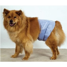 Ppmsm01 Poochpant Male Wrap - Small - 12 To 15 Inch
