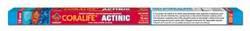 TopDawg Pet Supply 15 Watt Actinic 03 Fluorescent Bulb 18