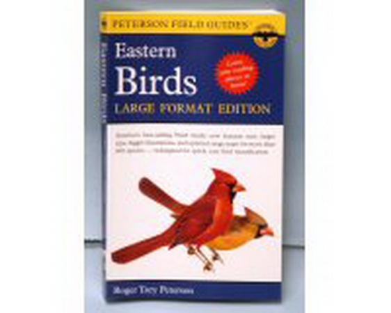 Peterson Books Eastern Birds Lg Format Edition Book