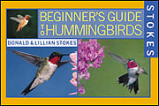 Beginners Guide To Hummingbirds Book