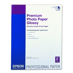 Epson Premium Glossy Photo Paper C 17 Inch x 22 Inch Glossy 25 Sheet Photo Paper S042092