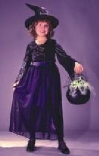 Costumes For All Occasions FW1478LG Storybook Witch Velvet Child Large