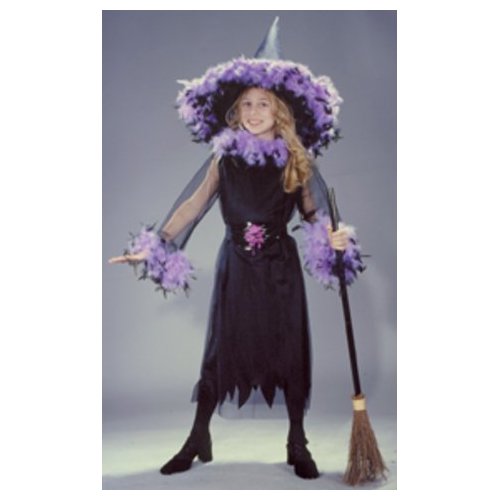 Costumes For All Occasions FW8762BKLG Feather Witch Blk Child Lrg