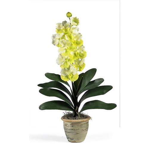 Nearly Natural 1112-WH Single Stem Vanda Orchid