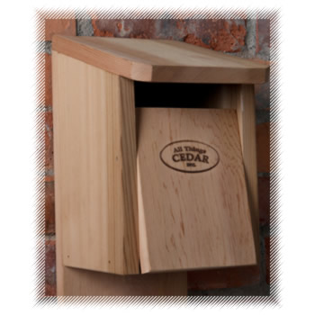 All Things Cedar BH12U BH12 Blujay Birdhouse- Western Red Cedar