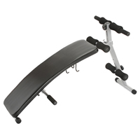 Lion Sports 80245 Curve Sit Up Bench With Dumbell Rack