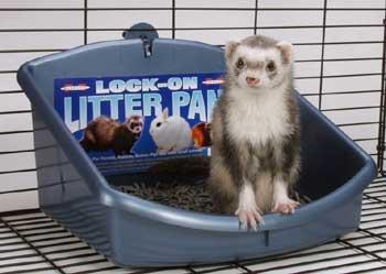 TopDawg Pet Supply Marshall Lock - on Litter Pan