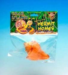 TopDawg Pet Supply Hermit Crab Homes Extra Large 1pk